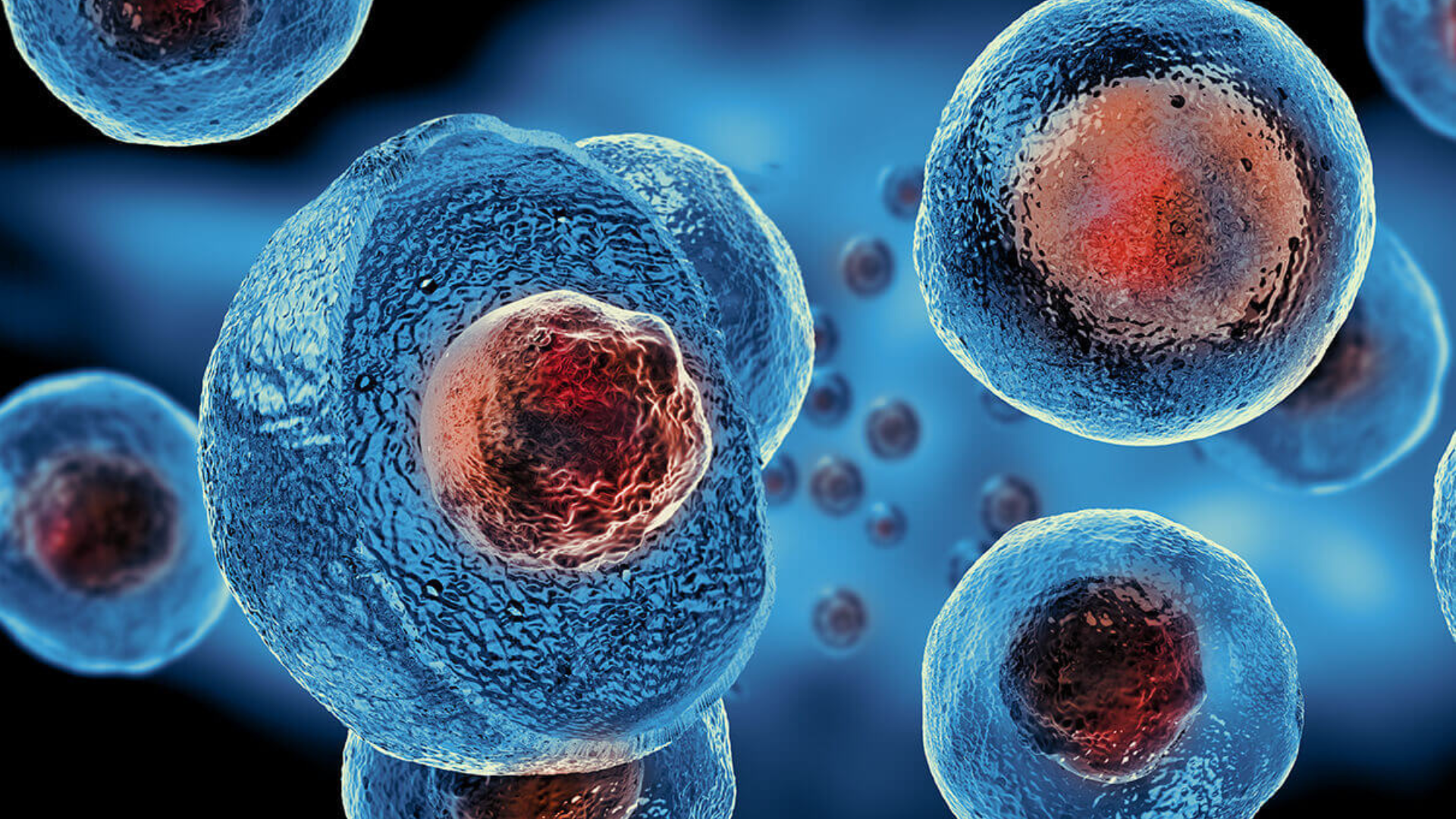Stem Cell Therapy treatment offer at iCRYO SouthPark